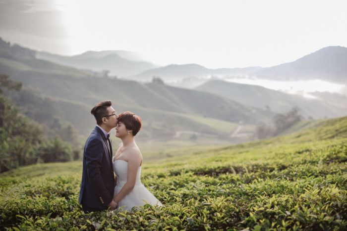 Cameron Highlands Pre Wedding