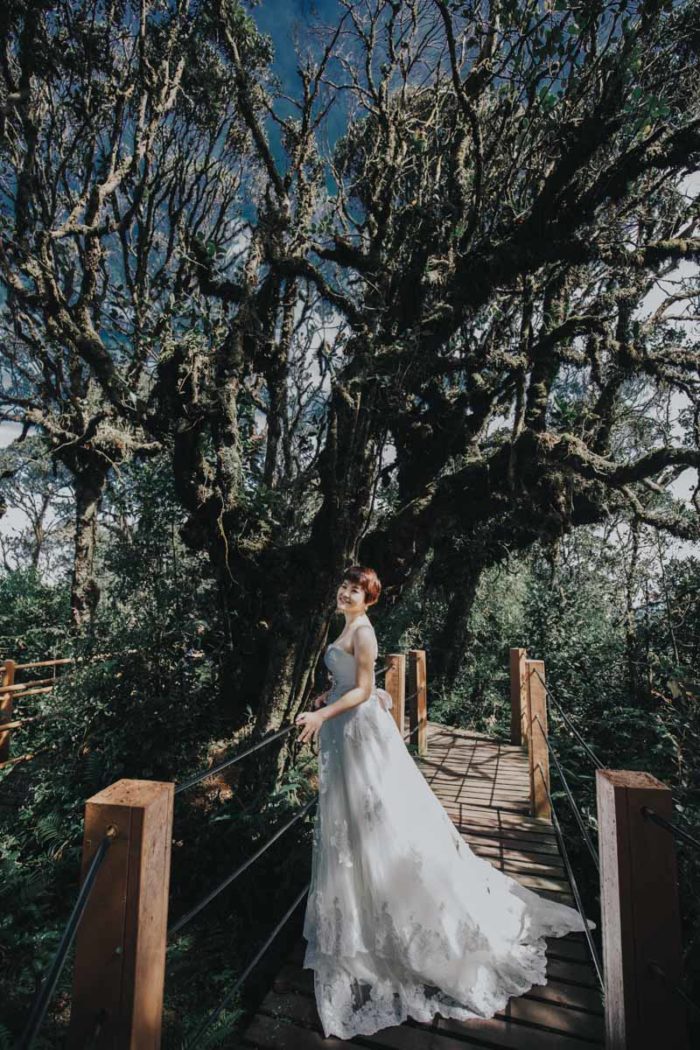 Cameron Highlands Pre Wedding