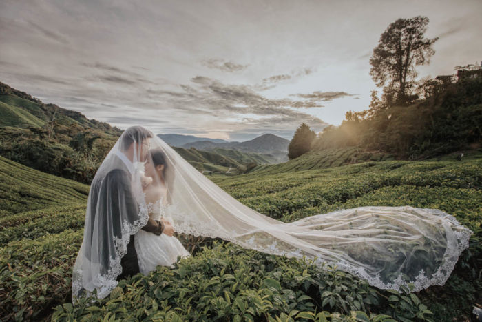 Cameron Highlands Pre Wedding